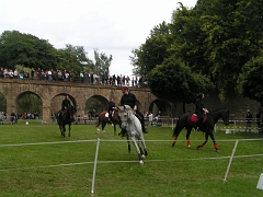 REMPARTS LONGWY 2008 211